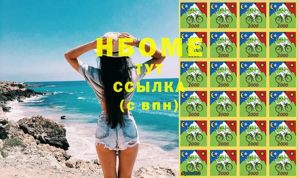 твердый Новодвинск
