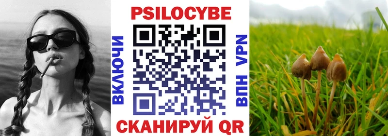 дарнет шоп  Кондрово  OMG онион  Псилоцибиновые грибы MAGIC MUSHROOMS 